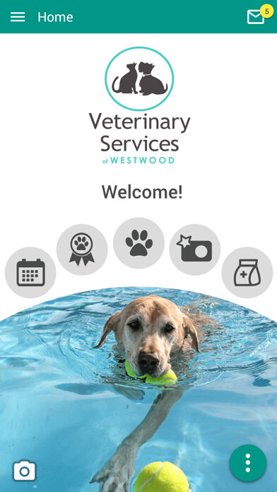 Run android online APK Vets of WW from MyAndroid or emulate Vets of WW using MyAndroid