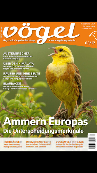 Run android online APK VÖGEL - Magazin für Vogelbeoba from MyAndroid or emulate VÖGEL - Magazin für Vogelbeoba using MyAndroid Run android online APK VÖGEL - Magazin für Vogelbeoba from MyAndroid or emulate VÖGEL - Magazin für Vogelbeoba using MyAndroid