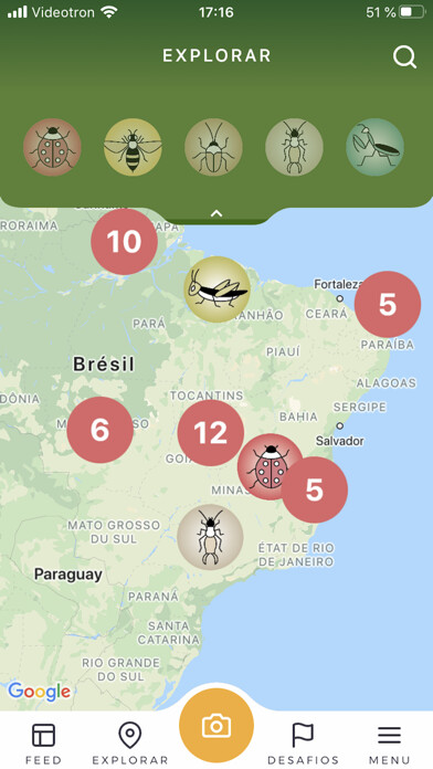 Emulate iPhone app Vida de Inseto using MyAndroid Emulate iPhone app Vida de Inseto using MyAndroid