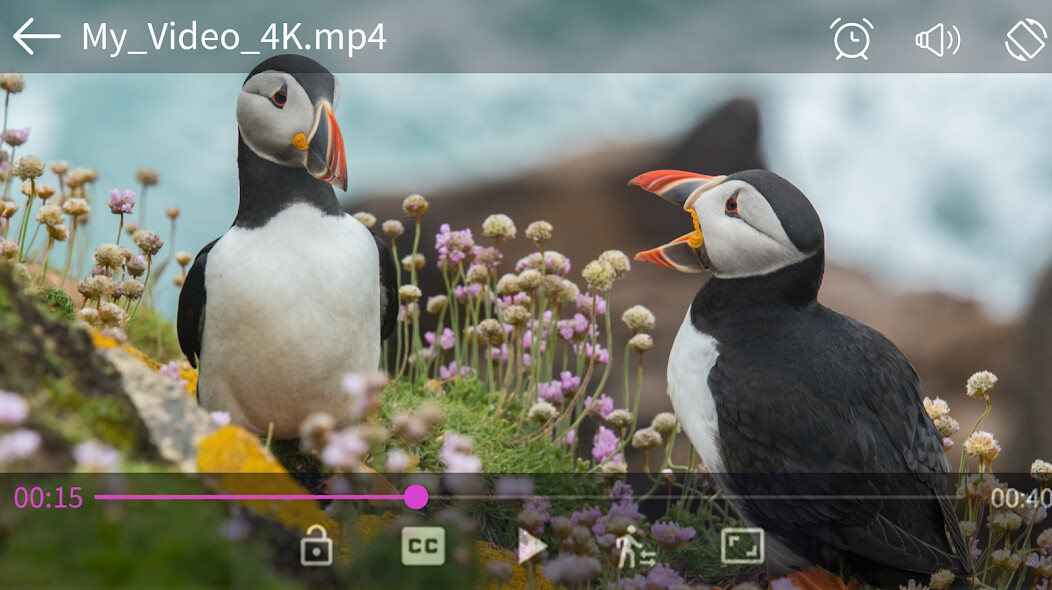 Run android online APK Video player - PRO version from MyAndroid or emulate Video player - PRO version using MyAndroid