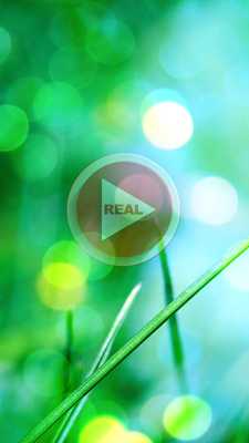 Emulate Android APK Video Player - Real Player HD Emulate Android APK Video Player - Real Player HD