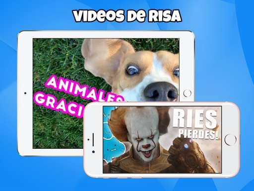 Run android online APK Videos de Risa - Videos Chistosos from MyAndroid or emulate Videos de Risa - Videos Chistosos using MyAndroid Run android online APK Videos de Risa - Videos Chistosos from MyAndroid or emulate Videos de Risa - Videos Chistosos using MyAndroid