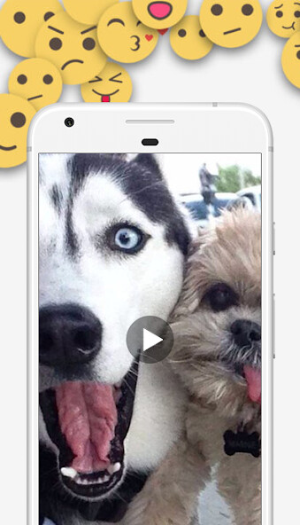 Run android online APK Videos Graciosos from MyAndroid or emulate Videos Graciosos using MyAndroid Run android online APK Videos Graciosos from MyAndroid or emulate Videos Graciosos using MyAndroid