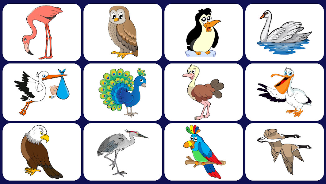 Run android online APK Video Touch - Birds from MyAndroid or emulate Video Touch - Birds using MyAndroid