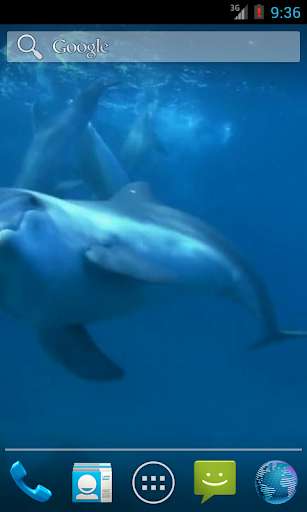 Run android online APK Video Wallpapers: Amazing Dolphins HD from MyAndroid or emulate Video Wallpapers: Amazing Dolphins HD using MyAndroid