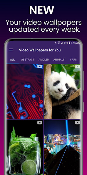Run android online APK Video Wallpapers for You from MyAndroid or emulate Video Wallpapers for You using MyAndroid