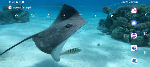 Run android online APK Video Wallpaper - Use your own videos, all of them from MyAndroid or emulate Video Wallpaper - Use your own videos, all of them using MyAndroid Run android online APK Video Wallpaper - Use your own videos, all of them from MyAndroid or emulate Video Wallpaper - Use your own videos, all of them using MyAndroid