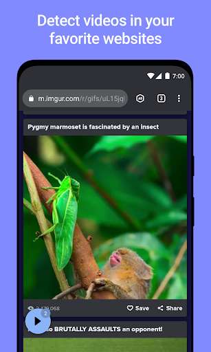 Run android online APK Vider Adblock - Video Browser from MyAndroid or emulate Vider Adblock - Video Browser using MyAndroid