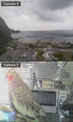 Emulate Android APK Viewer for Agasio IP cameras Emulate Android APK Viewer for Agasio IP cameras