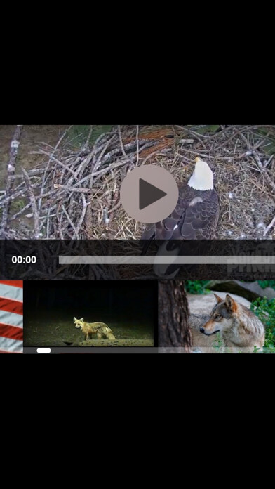 Emulate iPhone app View Real Live Animals in the Wild using MyAndroid Emulate iPhone app View Real Live Animals in the Wild using MyAndroid