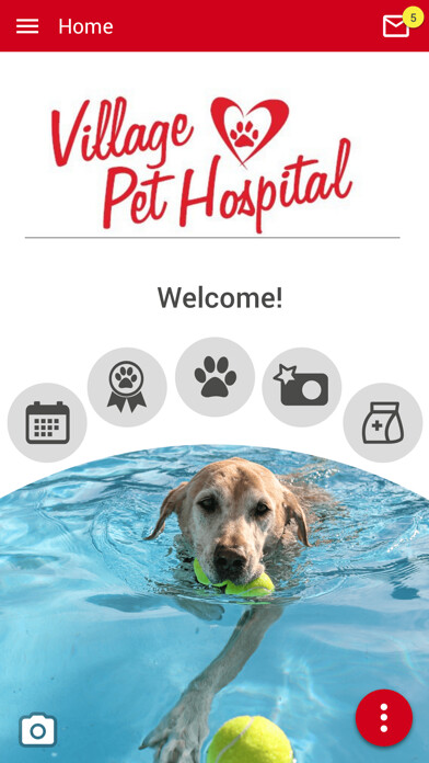 Run android online APK Village Pet Hospital from MyAndroid or emulate Village Pet Hospital using MyAndroid Run android online APK Village Pet Hospital from MyAndroid or emulate Village Pet Hospital using MyAndroid