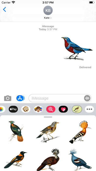 Emulate iPhone app Vintage Bird Stickers using MyAndroid Emulate iPhone app Vintage Bird Stickers using MyAndroid