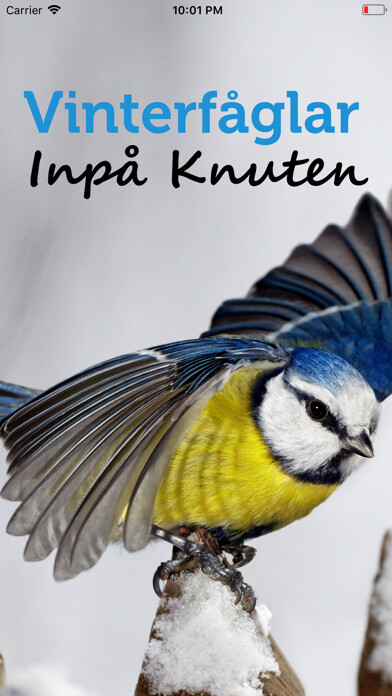 Emulate iPhone app Vinterfåglar Inpå knuten. using MyAndroid
