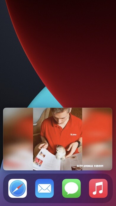 Emulate iPhone app V.I.PiP using MyAndroid