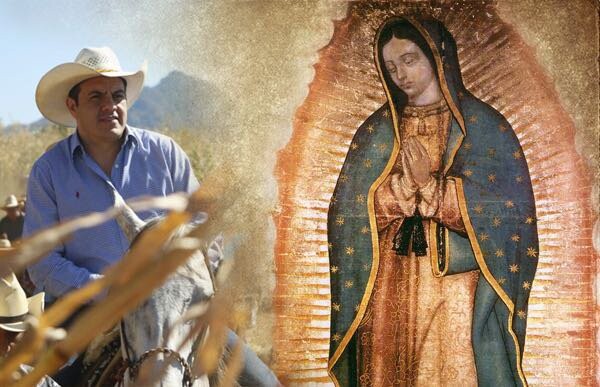 Run android online APK Virgen De Guadalupe Imagenes from MyAndroid or emulate Virgen De Guadalupe Imagenes using MyAndroid