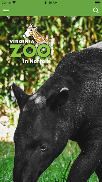 Run android online APK Virginia Zoo from MyAndroid or emulate Virginia Zoo using MyAndroid Run android online APK Virginia Zoo from MyAndroid or emulate Virginia Zoo using MyAndroid
