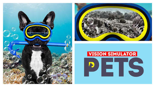 Emulate Android APK Vision pets simulator Emulate Android APK Vision pets simulator