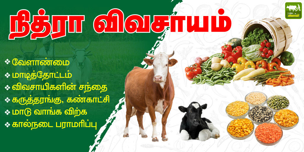 Run android online APK Vivasayam - நித்ரா விவசாயம் from MyAndroid or emulate Vivasayam - நித்ரா விவசாயம் using MyAndroid Run android online APK Vivasayam - நித்ரா விவசாயம் from MyAndroid or emulate Vivasayam - நித்ரா விவசாயம் using MyAndroid