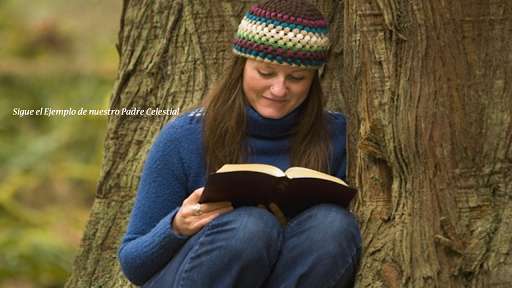 Run android online APK Vivencia y Mensajes Cristianos from MyAndroid or emulate Vivencia y Mensajes Cristianos using MyAndroid Run android online APK Vivencia y Mensajes Cristianos from MyAndroid or emulate Vivencia y Mensajes Cristianos using MyAndroid