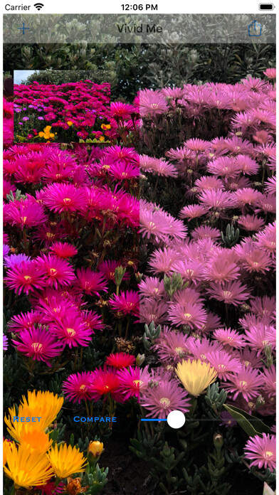 Emulate iPhone app Vivid Me using MyAndroid
