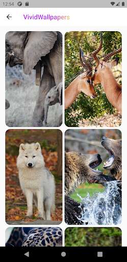 Run android online APK Vivid Wallpapers from MyAndroid or emulate Vivid Wallpapers using MyAndroid