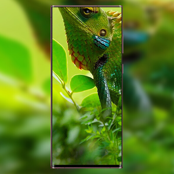 Run android online APK Vivo Y22s Punch Hole Wallpaper from MyAndroid or emulate Vivo Y22s Punch Hole Wallpaper using MyAndroid Run android online APK Vivo Y22s Punch Hole Wallpaper from MyAndroid or emulate Vivo Y22s Punch Hole Wallpaper using MyAndroid