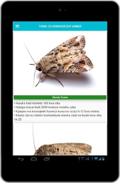 Run android online APK Viwavijeshi Vamizi: Fall ArmyWorm from MyAndroid or emulate Viwavijeshi Vamizi: Fall ArmyWorm using MyAndroid Run android online APK Viwavijeshi Vamizi: Fall ArmyWorm from MyAndroid or emulate Viwavijeshi Vamizi: Fall ArmyWorm using MyAndroid