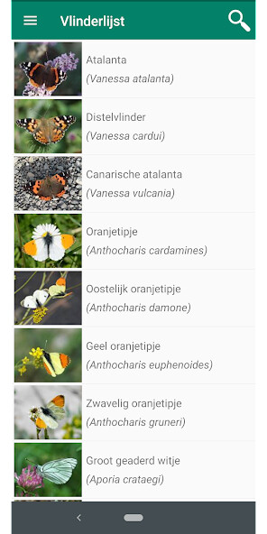 Run android online APK Vlindervaria from MyAndroid or emulate Vlindervaria using MyAndroid Run android online APK Vlindervaria from MyAndroid or emulate Vlindervaria using MyAndroid