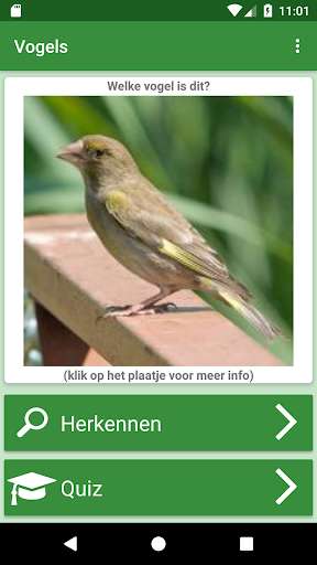 Run android online APK Vogels from MyAndroid or emulate Vogels using MyAndroid