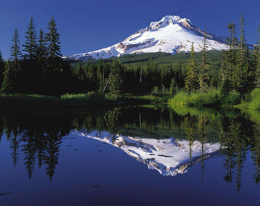 Run android online APK Volcan Photo Frames from MyAndroid or emulate Volcan Photo Frames using MyAndroid Run android online APK Volcan Photo Frames from MyAndroid or emulate Volcan Photo Frames using MyAndroid