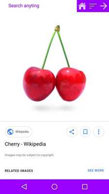 Emulate Android APK VOLXION - Internet Browser