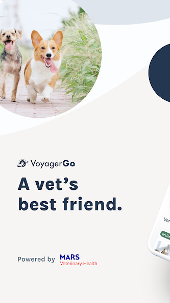 Run android online APK VoyagerGo from MyAndroid or emulate VoyagerGo using MyAndroid Run android online APK VoyagerGo from MyAndroid or emulate VoyagerGo using MyAndroid