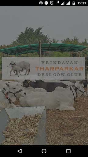 Run android online APK Vrindavan Tharparkar Desi Cow Club from MyAndroid or emulate Vrindavan Tharparkar Desi Cow Club using MyAndroid Run android online APK Vrindavan Tharparkar Desi Cow Club from MyAndroid or emulate Vrindavan Tharparkar Desi Cow Club using MyAndroid