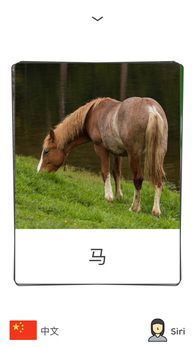 Emulate iPhone app vɔɪsFlashCards using MyAndroid