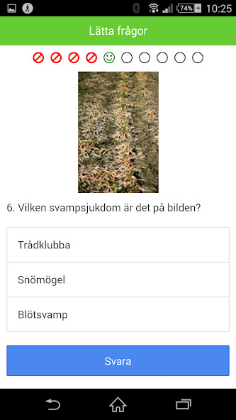 Run android online APK VäxtodlingsQuiz from MyAndroid or emulate VäxtodlingsQuiz using MyAndroid Run android online APK VäxtodlingsQuiz from MyAndroid or emulate VäxtodlingsQuiz using MyAndroid