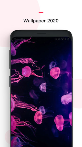 Run android online APK Wallpaper 2020 4K HD from MyAndroid or emulate Wallpaper 2020 4K HD using MyAndroid