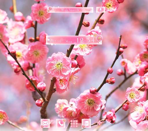 Emulate Android APK Wallpaper Advent of Spring: Plum BlossomsTheme Emulate Android APK Wallpaper Advent of Spring: Plum BlossomsTheme