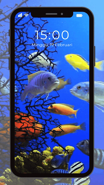 Run android online APK Wallpaper Bawah Laut from MyAndroid or emulate Wallpaper Bawah Laut using MyAndroid Run android online APK Wallpaper Bawah Laut from MyAndroid or emulate Wallpaper Bawah Laut using MyAndroid