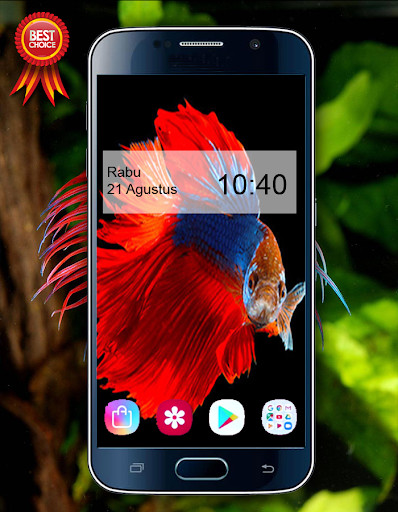 Run android online APK Wallpaper Betta Fish 4K from MyAndroid or emulate Wallpaper Betta Fish 4K using MyAndroid