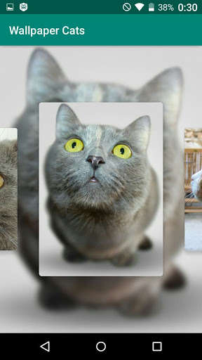 Run android online APK Wallpaper Cats from MyAndroid or emulate Wallpaper Cats using MyAndroid Run android online APK Wallpaper Cats from MyAndroid or emulate Wallpaper Cats using MyAndroid