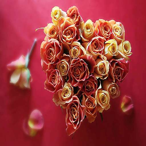Run android online APK wallpaper Flowers 2021 Nice Pictuer from MyAndroid or emulate wallpaper Flowers 2021 Nice Pictuer using MyAndroid