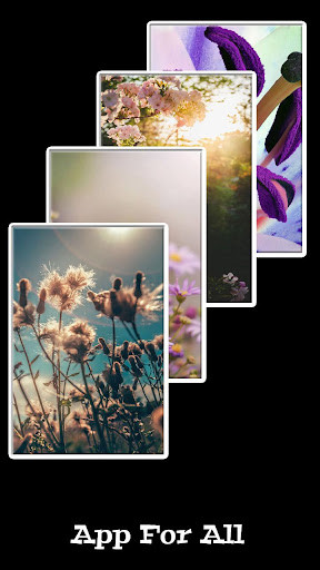 Run android online APK Wallpaper Flower from MyAndroid or emulate Wallpaper Flower using MyAndroid