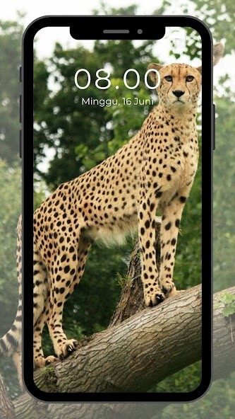Run android online APK Wallpaper Hewan from MyAndroid or emulate Wallpaper Hewan using MyAndroid Run android online APK Wallpaper Hewan from MyAndroid or emulate Wallpaper Hewan using MyAndroid