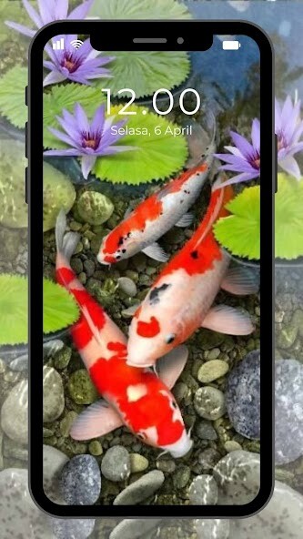 Run android online APK Wallpaper Ikan Koi Hidup from MyAndroid or emulate Wallpaper Ikan Koi Hidup using MyAndroid Run android online APK Wallpaper Ikan Koi Hidup from MyAndroid or emulate Wallpaper Ikan Koi Hidup using MyAndroid