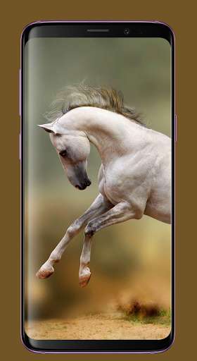 Run android online APK Wallpaper Kuda HD Terbaik from MyAndroid or emulate Wallpaper Kuda HD Terbaik using MyAndroid