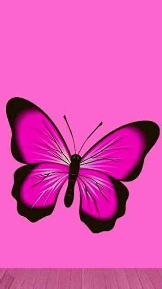Run android online APK Wallpaper Love Pink from MyAndroid or emulate Wallpaper Love Pink using MyAndroid