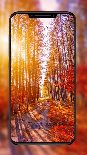 Run android online APK Wallpaper Offline Vol 1 from MyAndroid or emulate Wallpaper Offline Vol 1 using MyAndroid