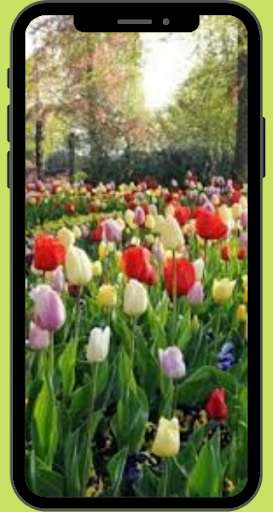Run android online APK Wallpaper Panorama Alam from MyAndroid or emulate Wallpaper Panorama Alam using MyAndroid Run android online APK Wallpaper Panorama Alam from MyAndroid or emulate Wallpaper Panorama Alam using MyAndroid