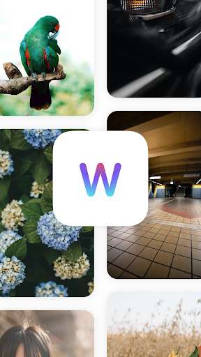 Run android online APK Wallpaper Pro - 4K Backgrounds from MyAndroid or emulate Wallpaper Pro - 4K Backgrounds using MyAndroid Run android online APK Wallpaper Pro - 4K Backgrounds from MyAndroid or emulate Wallpaper Pro - 4K Backgrounds using MyAndroid