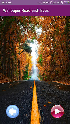 Run android online APK Wallpaper Road and Trees from MyAndroid or emulate Wallpaper Road and Trees using MyAndroid